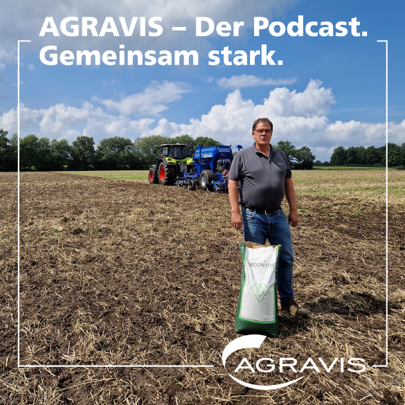 AGRAVIS-Podcast: 5 Fragen zum Thema Zwischenfrüchte